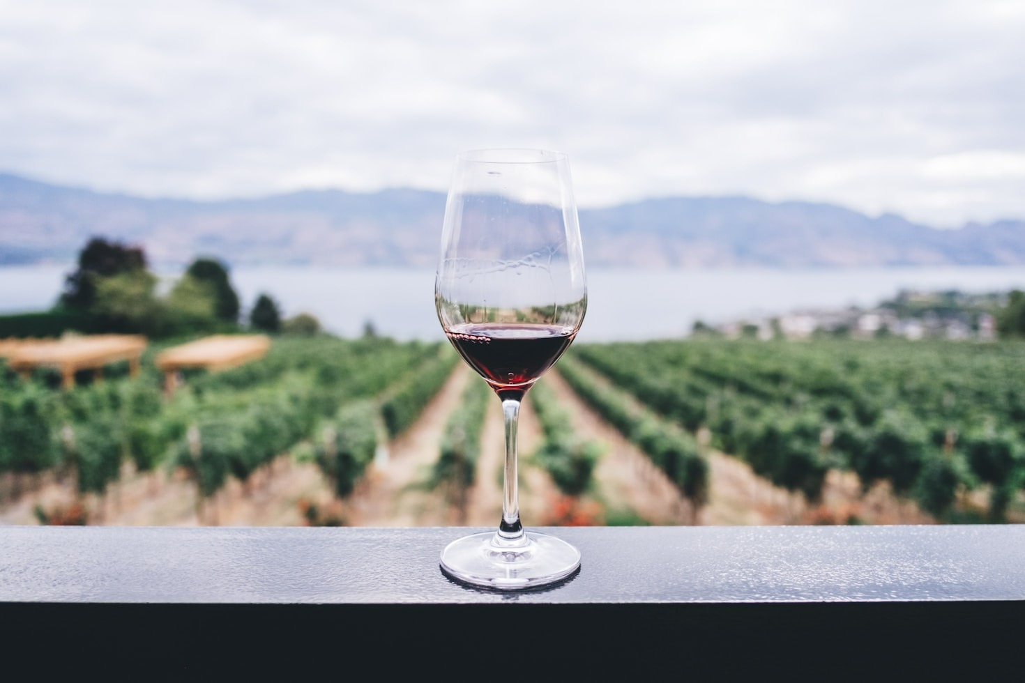 VinoFusion X: Genuss als Lebensphilosophie